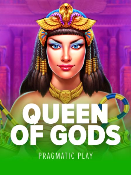 A Deep Dive into PocketAces Club's Unique Gameplay Features